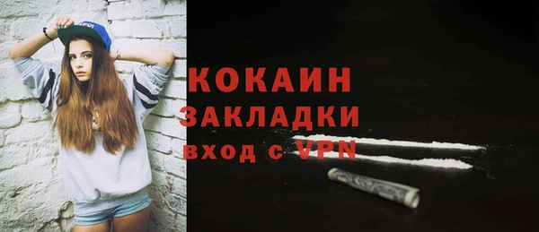шишки Абаза