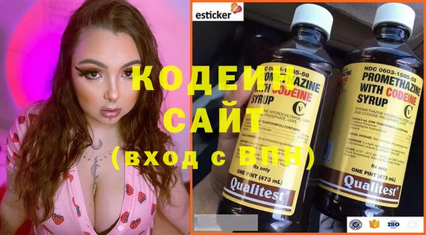 шишки Абаза