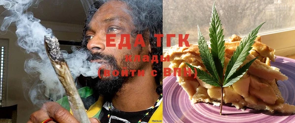 шишки Абаза
