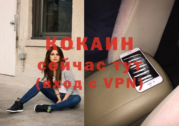 шишки Абаза