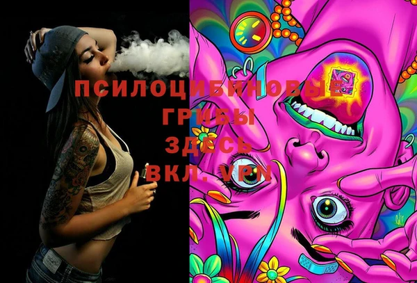 шишки Абаза