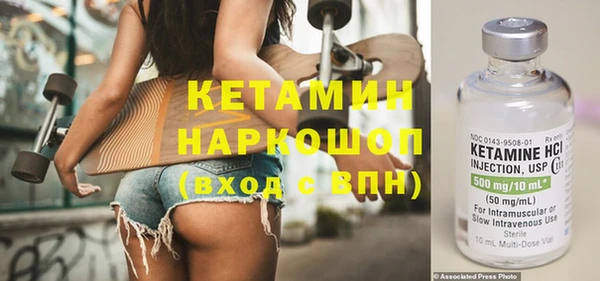 шишки Абаза
