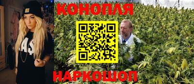 a pvp Лесосибирск
