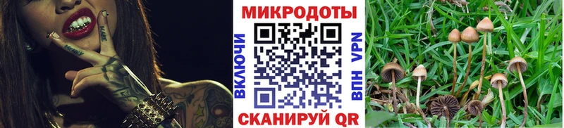Псилоцибиновые грибы мицелий  Архангельск 