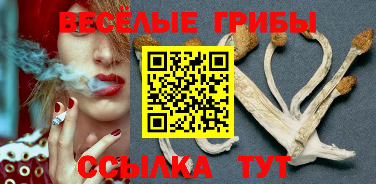 Галлюциногенные грибы GOLDEN TEACHER Архангельск