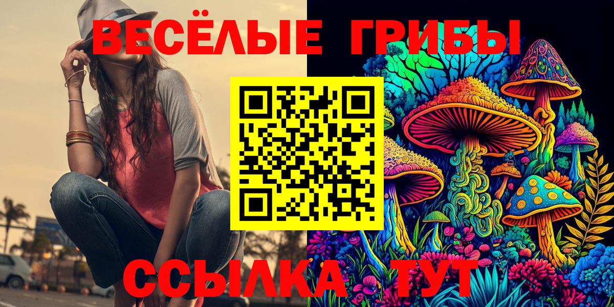 Галлюциногенные грибы Cubensis  Вход с VPN  Архангельск 
